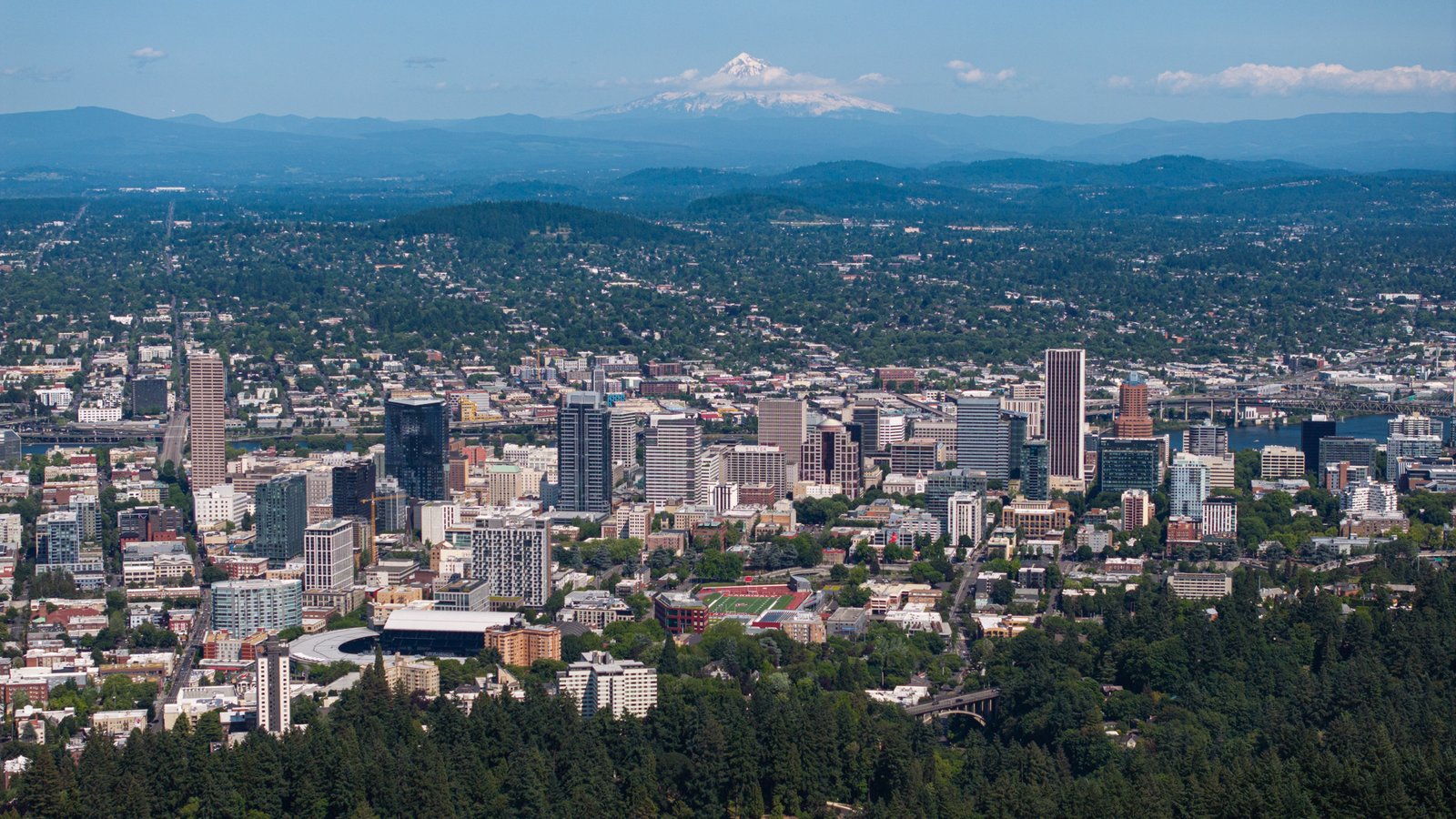 Portland: Forests & Waterfalls Tour